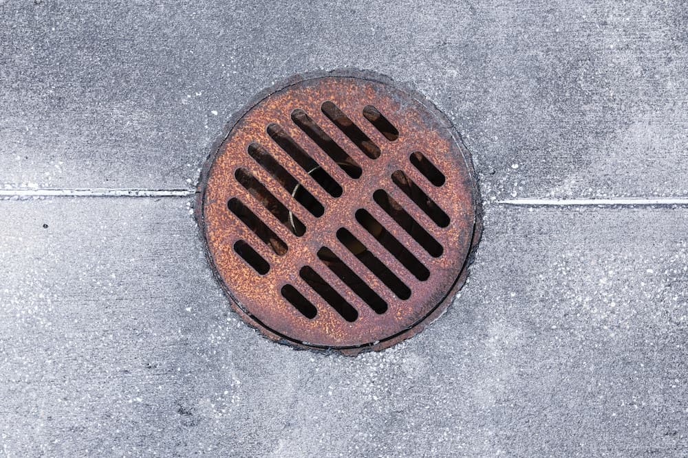 What a Sewer Scope Camera Actually Sees